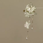 product/2026/1/13/2011066249919991808.jpg