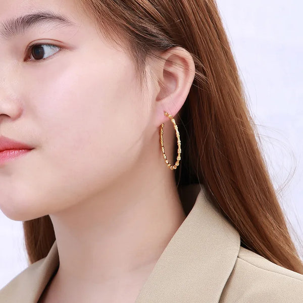 Fashion Geometric Plating Stainless Steel No Inlaid 18K Gold Plated Earrings