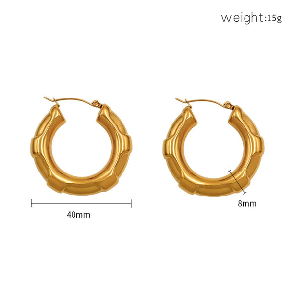 1 Pair Classic Style Geometric Titanium Steel Earrings